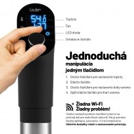 Lauben Sous Vide Stick SV01