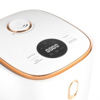 Lauben Multifunction Rice Cooker 1200WR Rose Gold Edition